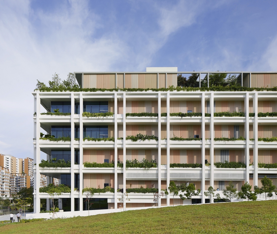 oasis terraces by serie architects multiply architects
