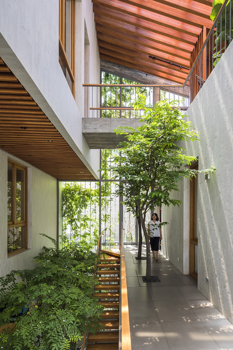 stepping park house by vtn architects
