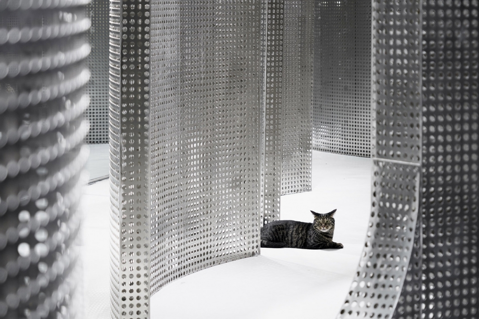 the animal backbone by i f s e space creative lab