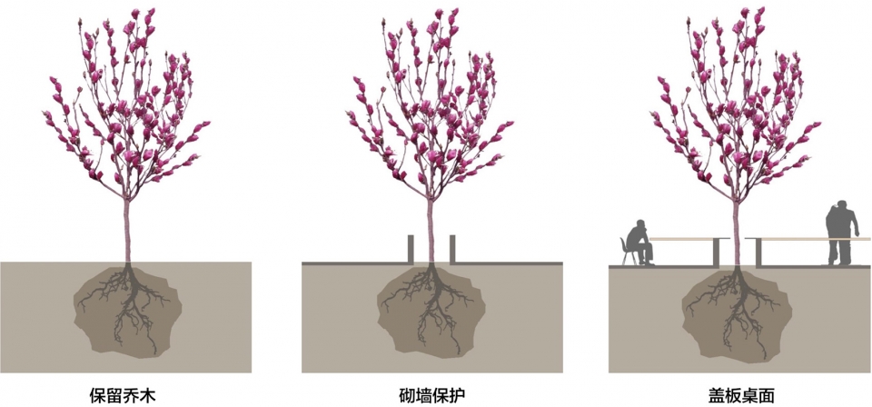 tree desk garden china by daguan landscape design