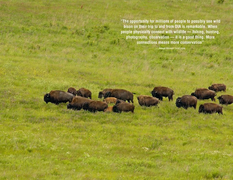 2018 asla the landmark award the rocky mountain arsenal national wildlife refuge comprehensive management plan by design workshop denver