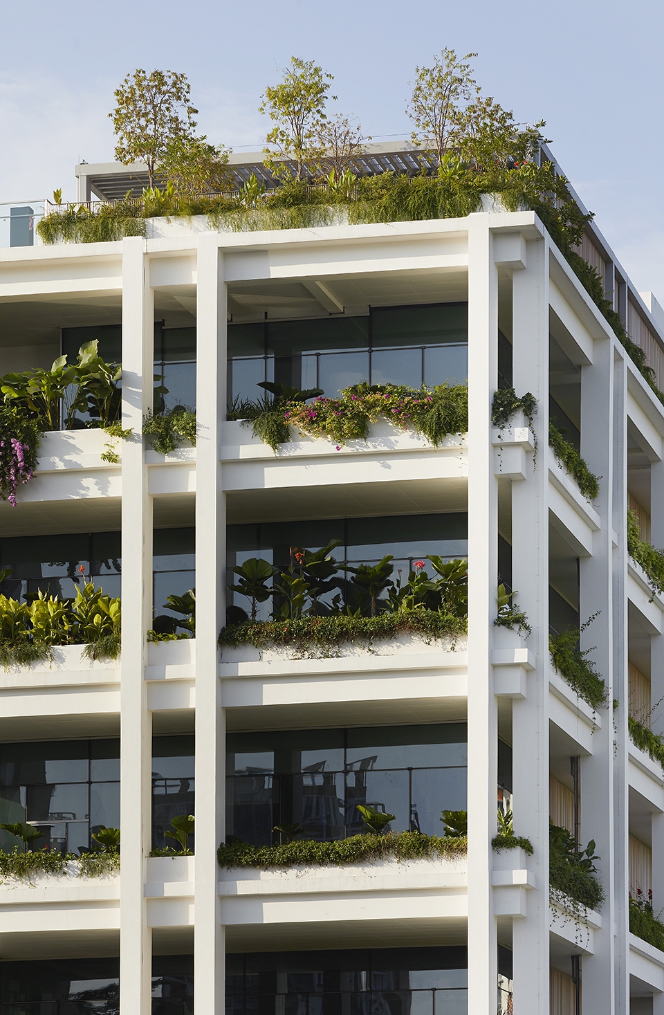 oasis terraces by serie architects multiply architects