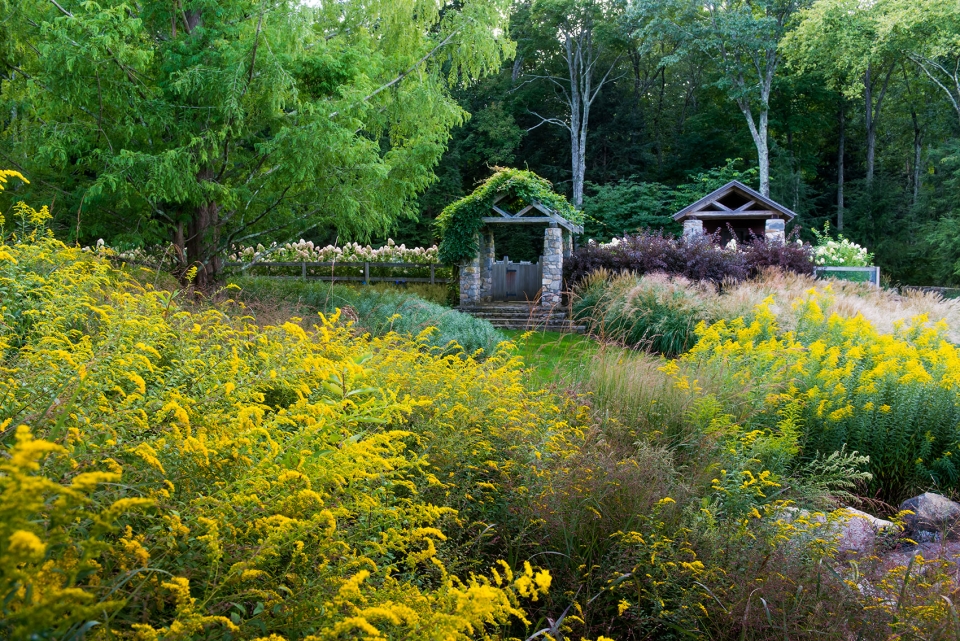 insitu garden by land morphology