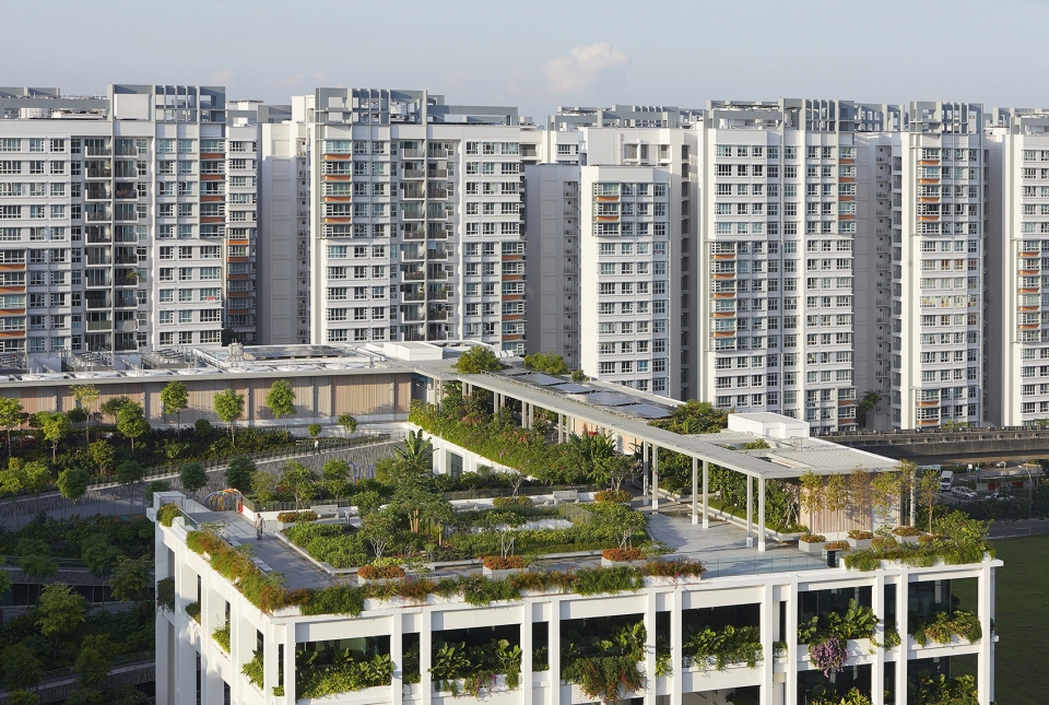 oasis terraces by serie architects multiply architects