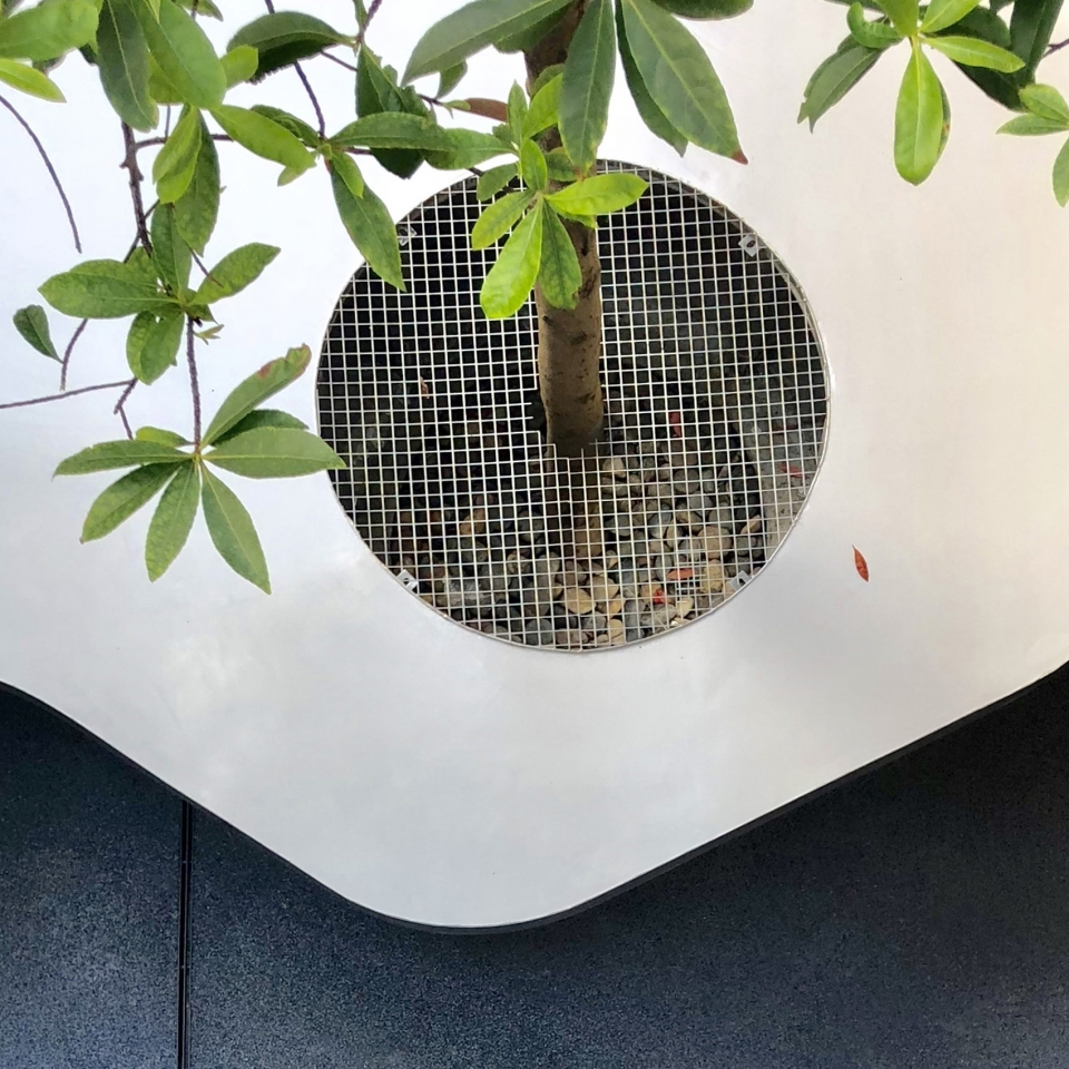 tree desk garden china by daguan landscape design