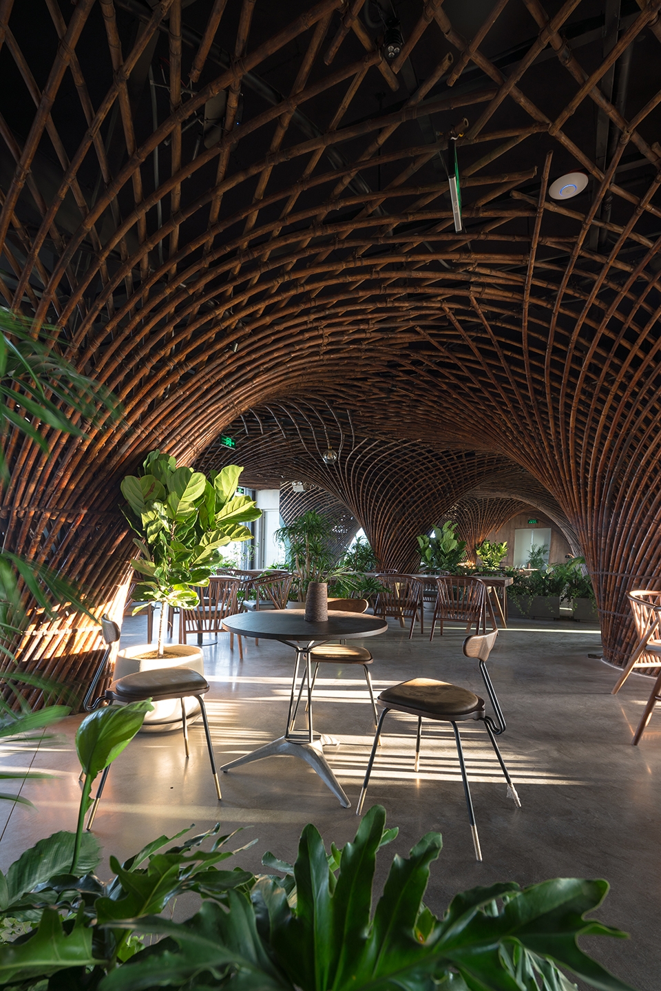 nocenco cafe by vtn architects