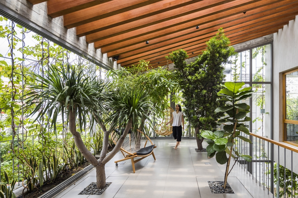 stepping park house by vtn architects
