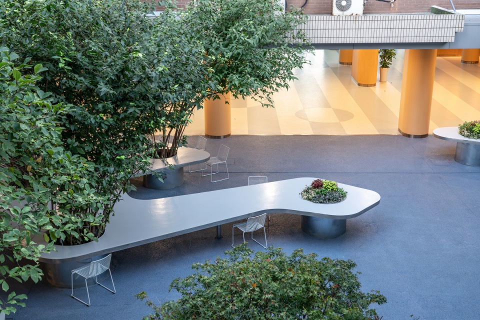 tree desk garden china by daguan landscape design