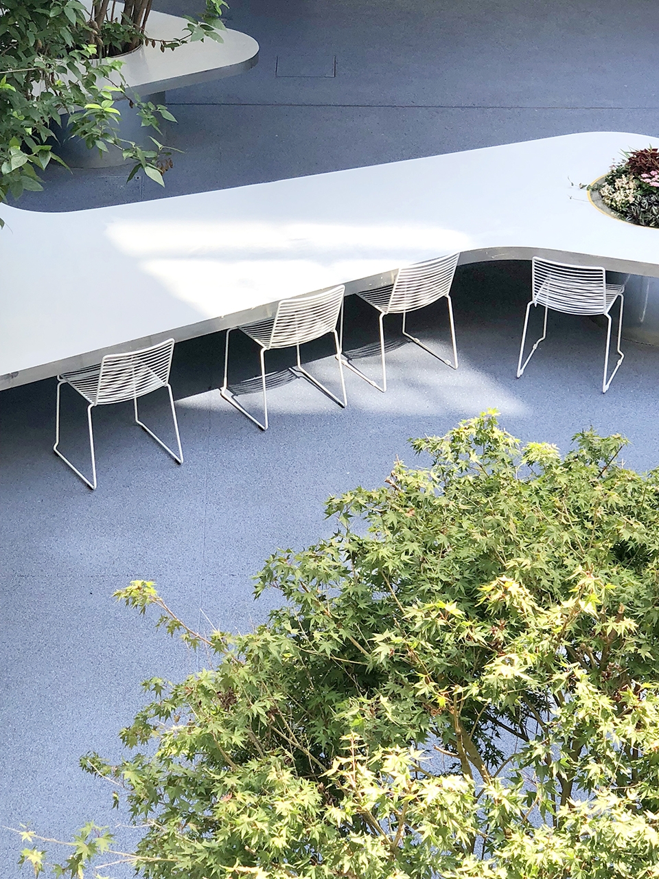 tree desk garden china by daguan landscape design