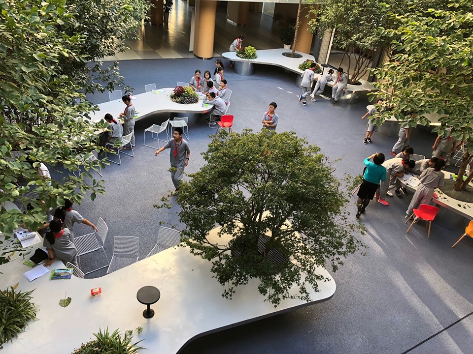 tree desk garden china by daguan landscape design