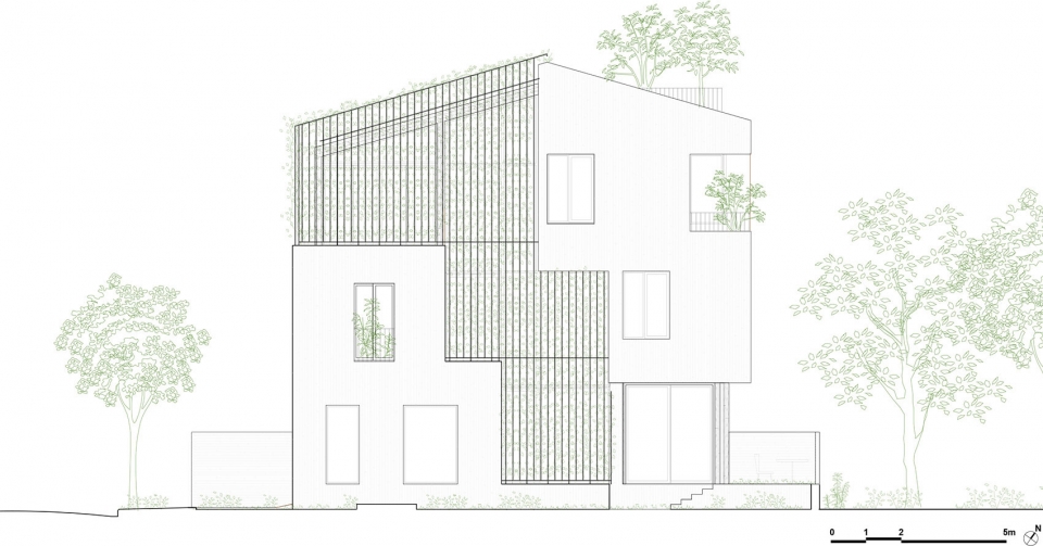 stepping park house by vtn architects
