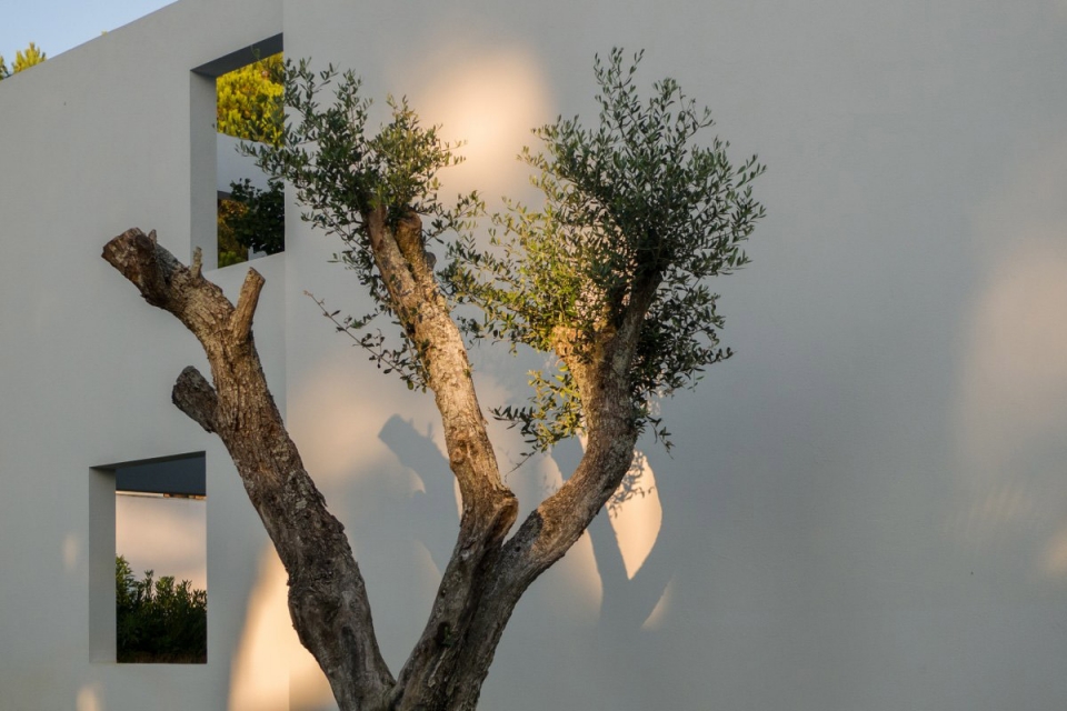 house in troia by miguel marcelino