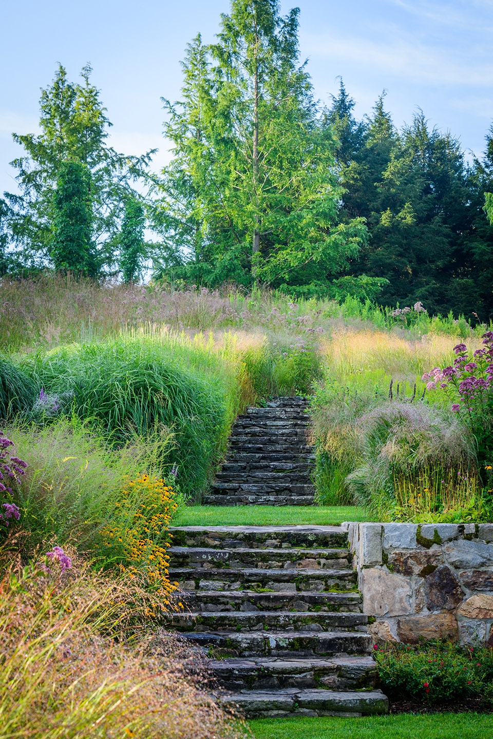 insitu garden by land morphology