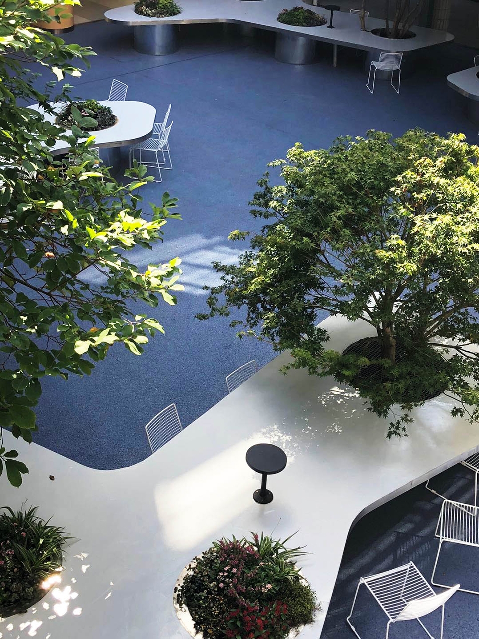 tree desk garden china by daguan landscape design