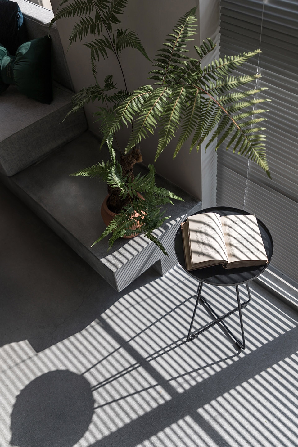 momos talk office china by atdesign
