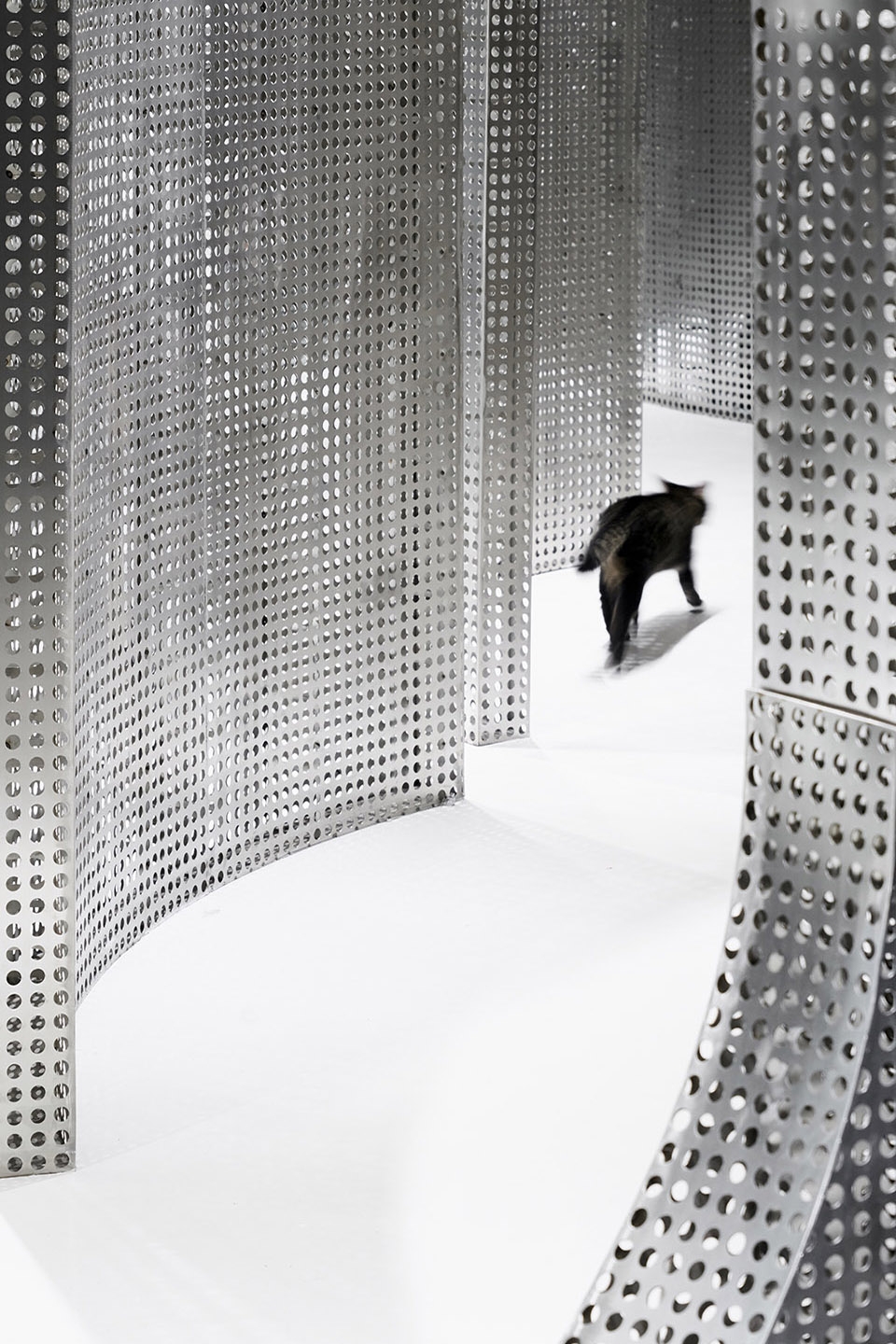 the animal backbone by i f s e space creative lab
