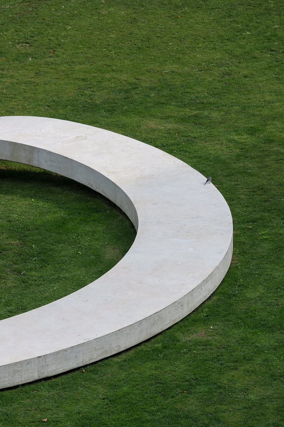 loop by fahr 021 3