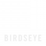 Birdseye Design