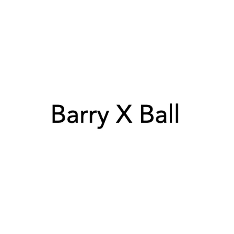 Barry X Ball