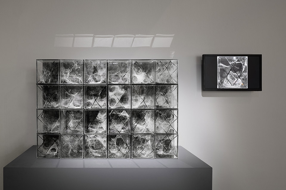 in human gardens two bio digital sculptures by ecologicstudio