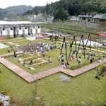 每周评论精选2019.02.16 – 2019.02.22