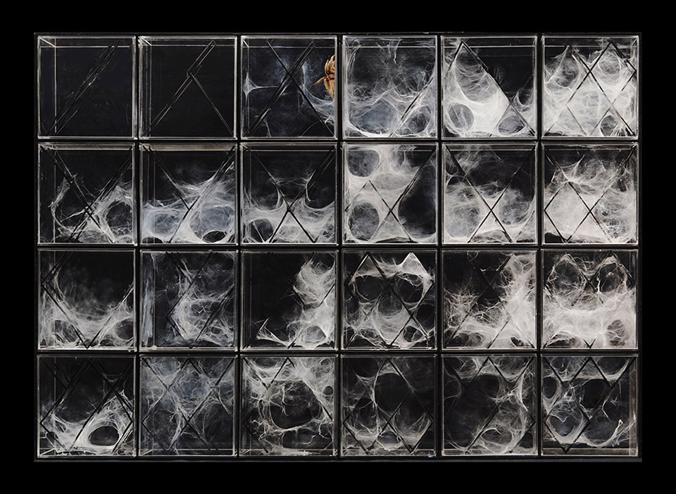 in human gardens two bio digital sculptures by ecologicstudio