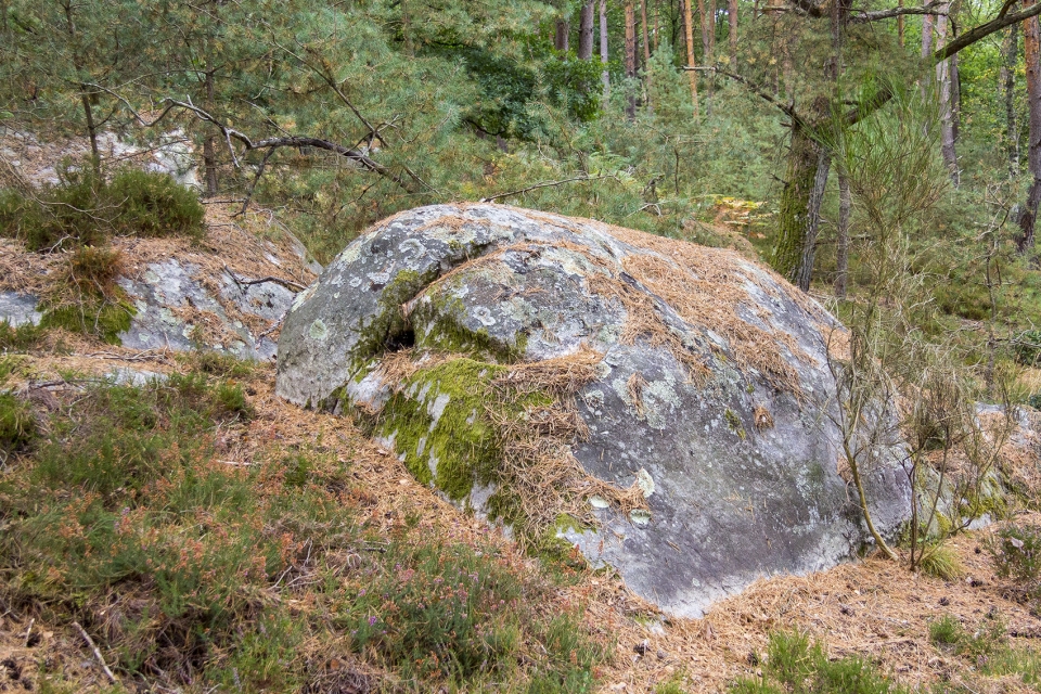 pareidolia by gaspard graulich