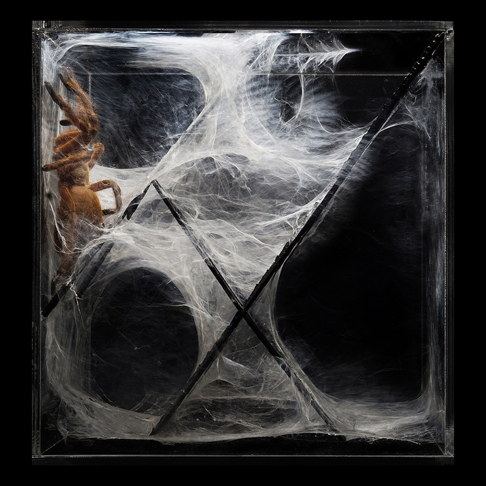 in human gardens two bio digital sculptures by ecologicstudio