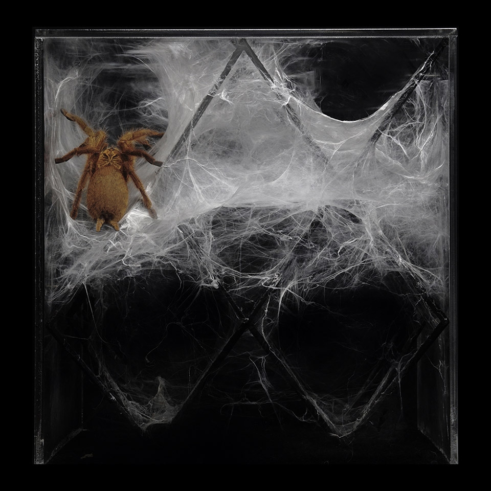 in human gardens two bio digital sculptures by ecologicstudio