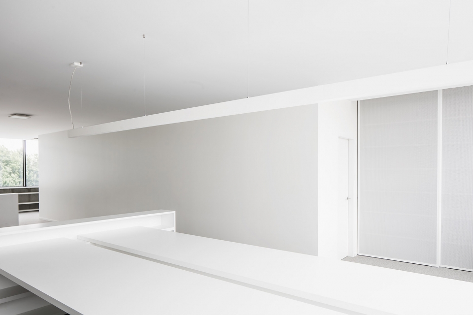 legia office by five am