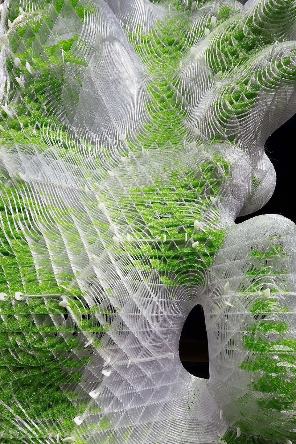in human gardens two bio digital sculptures by ecologicstudio