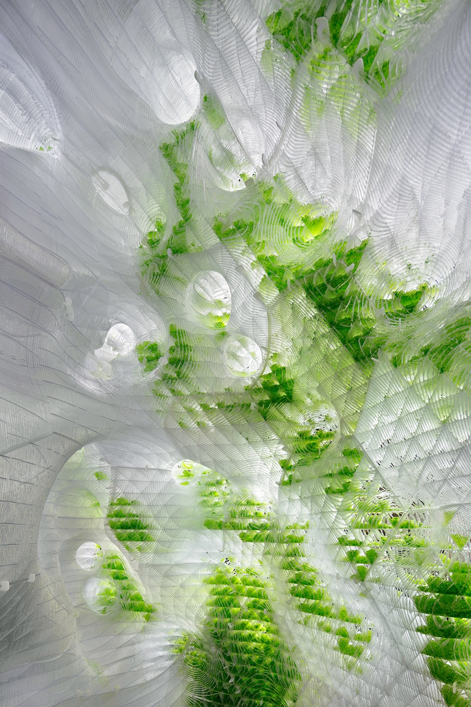 in human gardens two bio digital sculptures by ecologicstudio