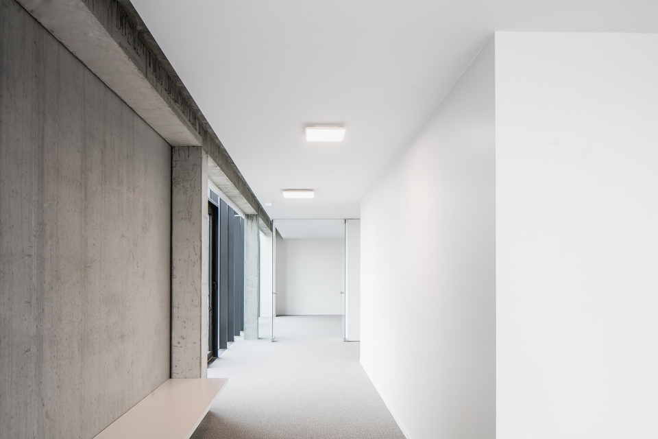 legia office by five am