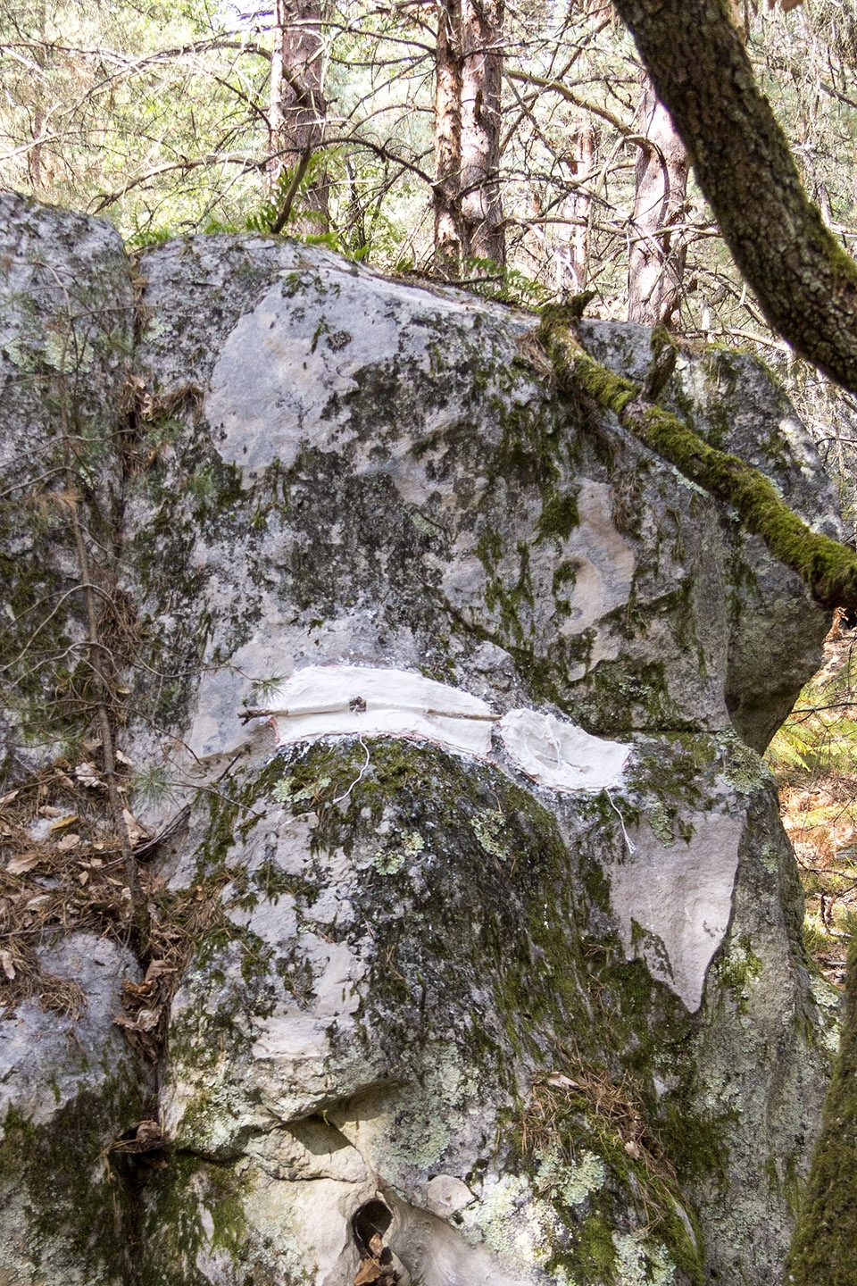 pareidolia by gaspard graulich