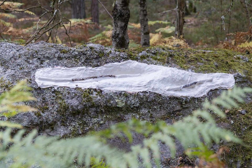 pareidolia by gaspard graulich