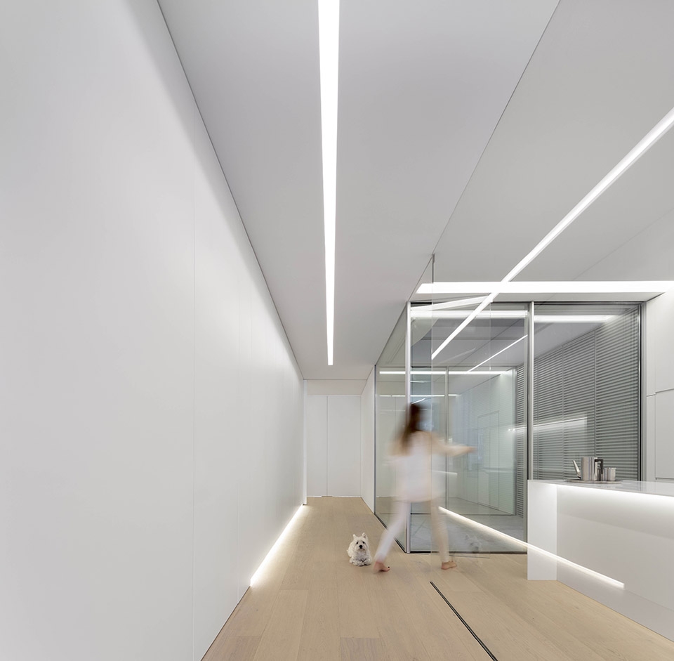 the blue garden by fran silvestre arquitectos