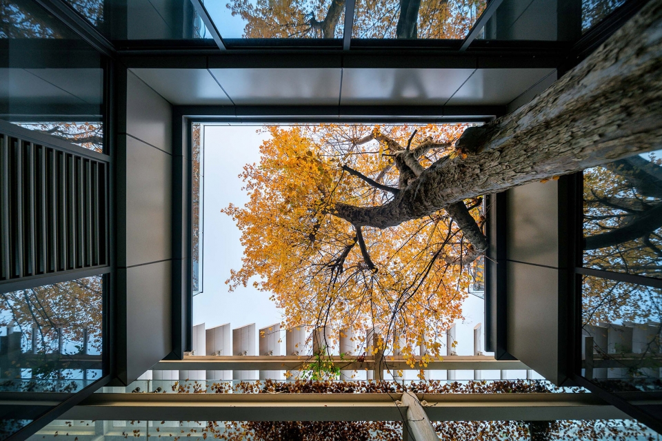 xinsu group rd center china by minax architects