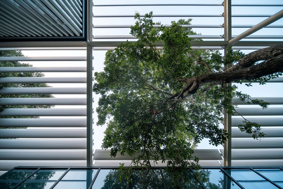 xinsu group rd center china by minax architects