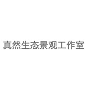 Zhenran Studio