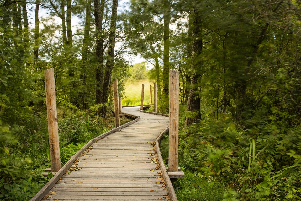 nattours accessible recreational path by studio puisto architects