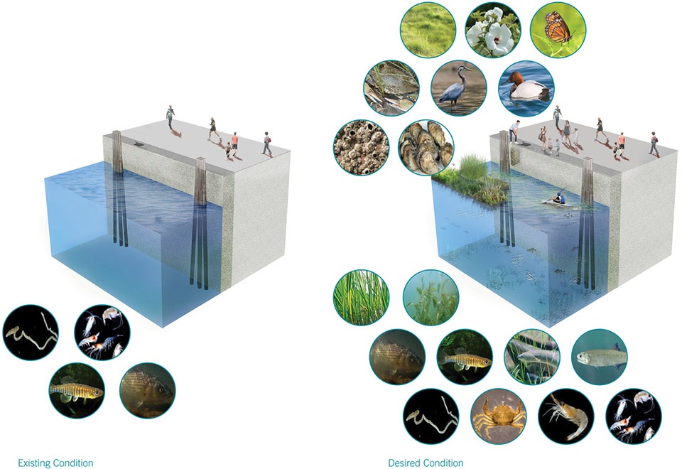 2018 asla research award of honor urban aquatic health integrating new technologies and resiliency into floating wetlands by ayers saint...