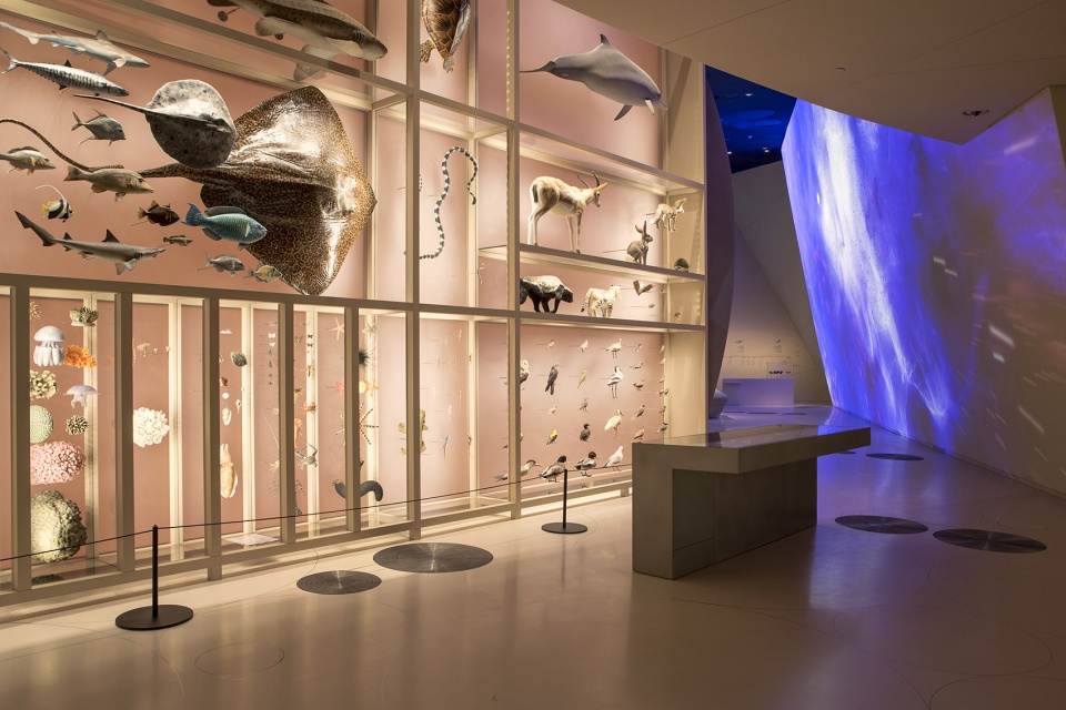 National Museum of Qatar by Ateliers Jean Nouvel