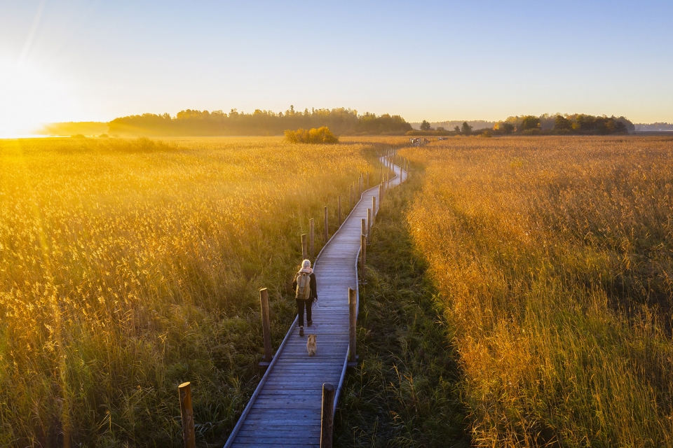 nattours accessible recreational path by studio puisto architects