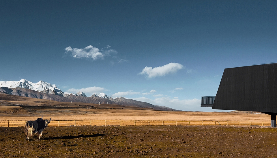 traveler black tent in yangbajing china by pure