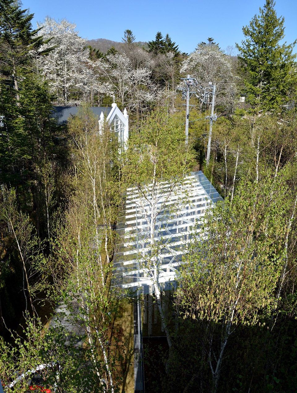 birch moss chapel by kengo kuma and associates