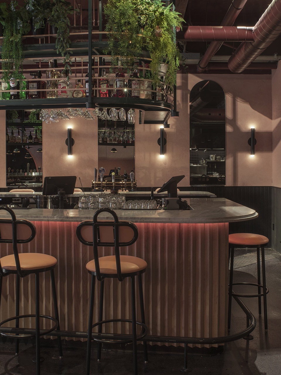 jack rose by ivystudio