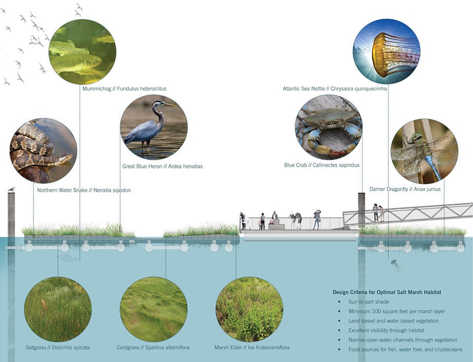 2018 asla research award of honor urban aquatic health integrating new technologies and resiliency into floating wetlands by ayers saint...