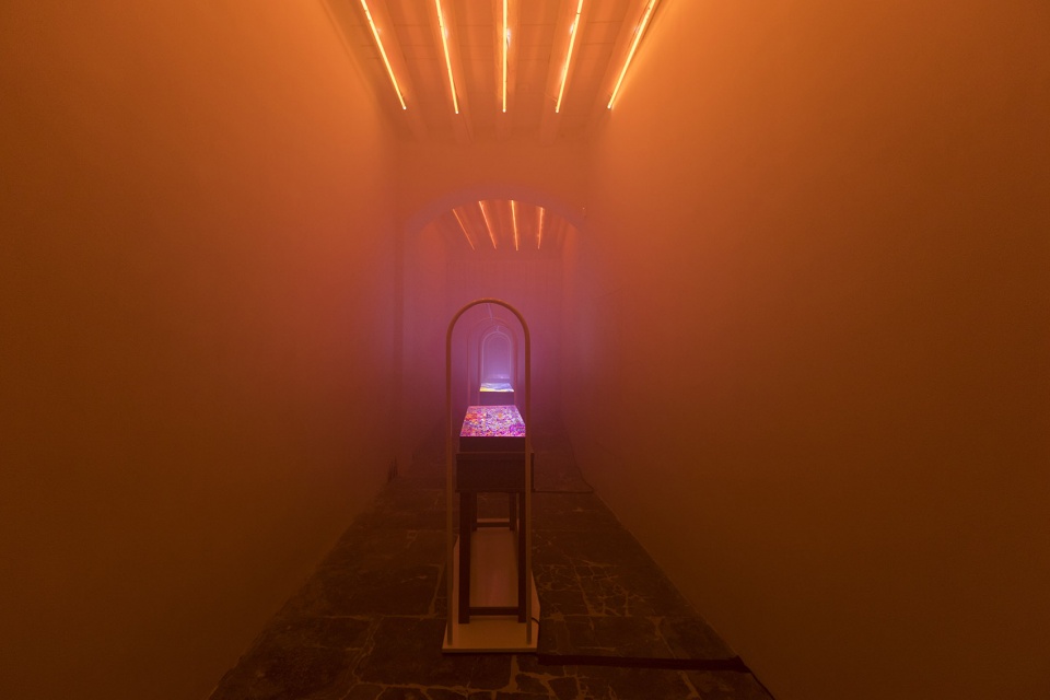 alysi presents colour unknown in collaboration with studio fludd
