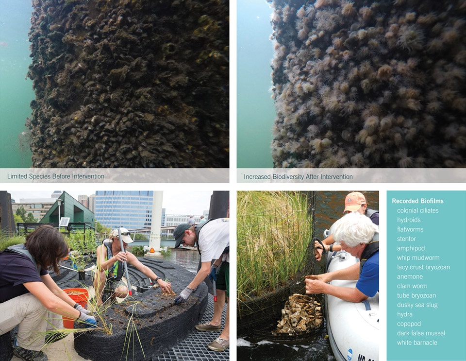 2018 asla research award of honor urban aquatic health integrating new technologies and resiliency into floating wetlands by ayers saint...