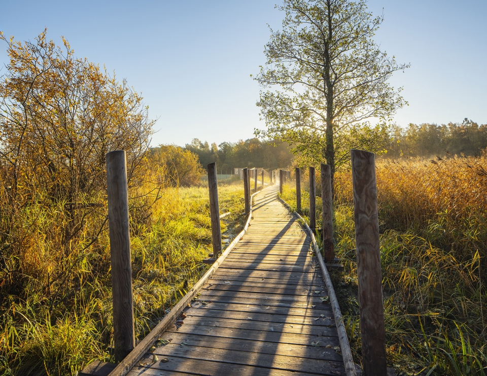 nattours accessible recreational path by studio puisto architects